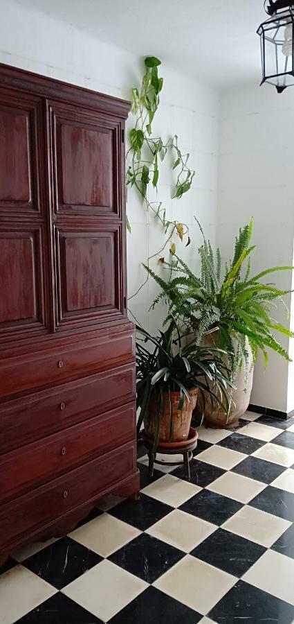 Hostal Cas Bombu Cala Ratjada  Ngoại thất bức ảnh